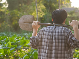 A. - Testemunho de Ucraniano, Guerra com Rússia